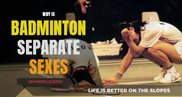 Badminton's Gender Divide: Why Separate Sexes?