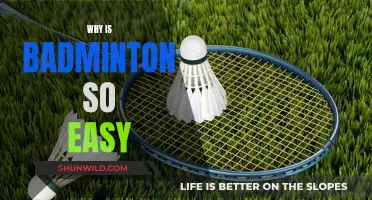 Badminton: Easy to Learn, Tough to Master