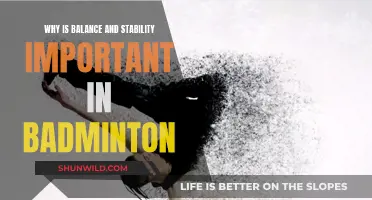Balance and Stability: Badminton's Key to Success