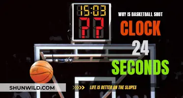 The Evolution of Basketball's 24-Second Shot Clock Rule