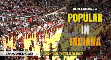 Hoosier Hysteria: Basketball's Rich History in Indiana