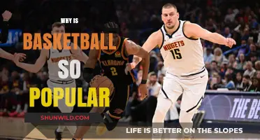 Basketball's Universal Appeal: Why Is It So Popular?