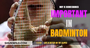 Badminton Biomechanics: Understanding the Science of Movement
