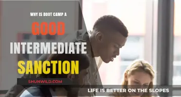 Boot Camp: Effective Intermediate Sanction for Rehabilitation and Accountability