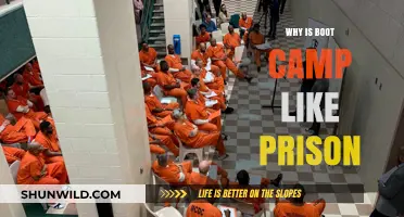 Boot Camp vs. Prison: Uncovering the Harsh Realities and Similarities