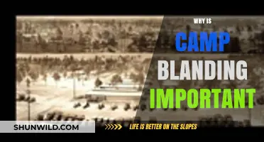 Unveiling the Historical Significance of Camp Blanding: A Comprehensive Guide