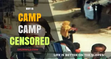 Unveiling the Reasons Behind Camp Camp's Censorship