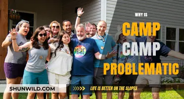 Unpacking the Controversies Surrounding Camp Camp