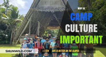 Embracing the Great Outdoors: The Significance of Camp Culture