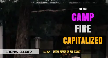 Understanding the Capitalization of 'Campfire': A Linguistic Exploration