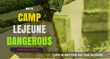 Unveiling the Hidden Dangers of Camp Lejeune: A Comprehensive Guide