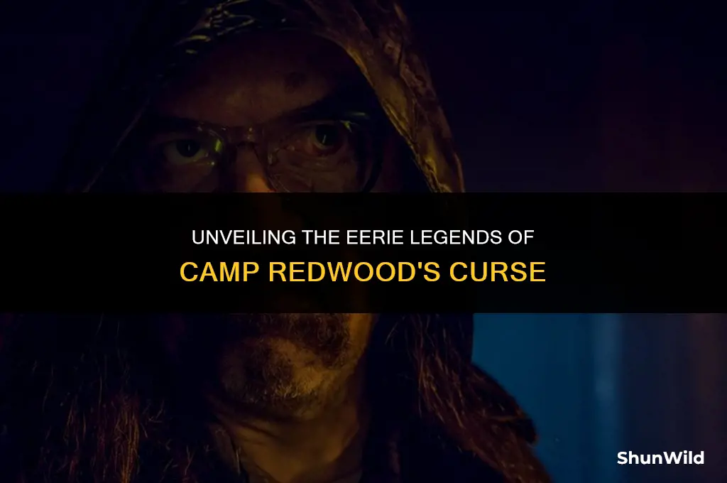 why is camp redwood cursed