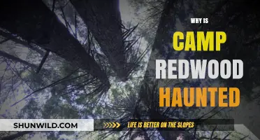 Unveiling the Eerie Secrets of Camp Redwood's Haunted Past