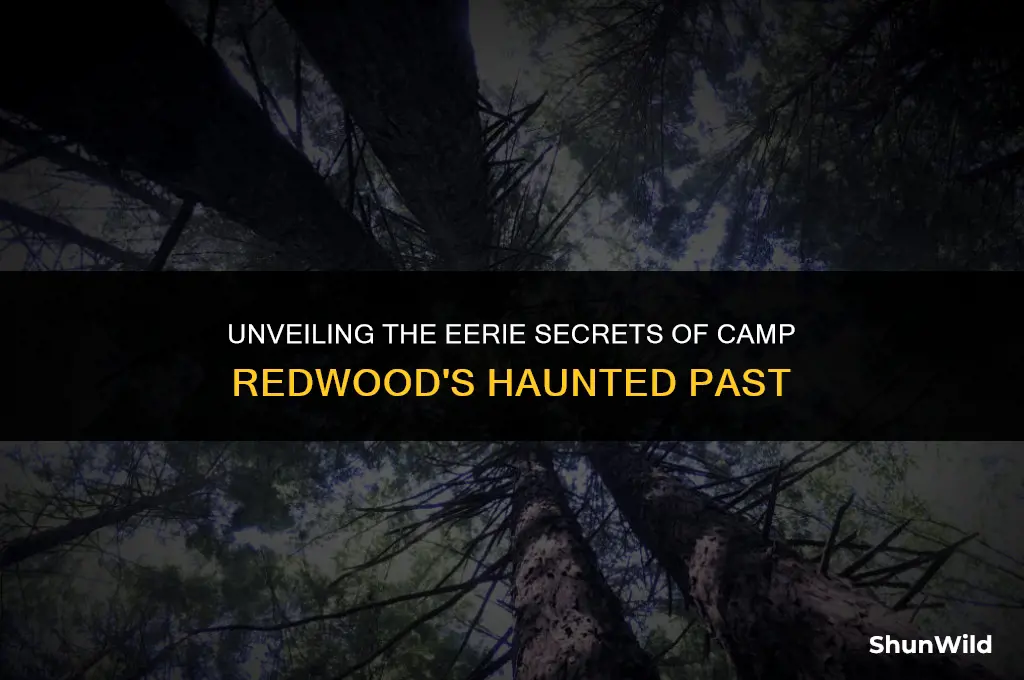why is camp redwood haunted