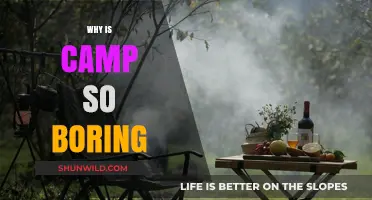 Why Camp Can Feel Boring: A Camper's Honest Perspective