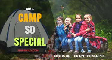 Unforgettable Adventures: The Magic of Summer Camp