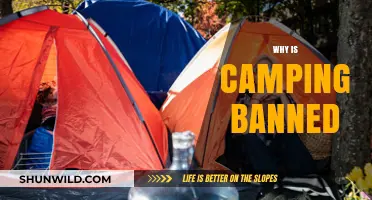 Unveiling the Reasons Behind Camping Bans: A Comprehensive Guide