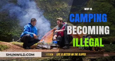 The Vanishing Wilderness: Why Camping Is Becoming Illegal
