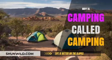 Origins of the Great Outdoors: Why 'Camping' Became Camping