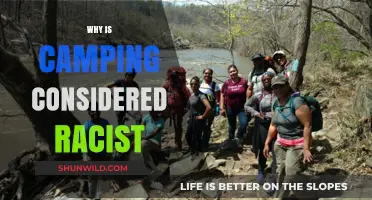 Unpacking the Controversies: Is Camping Inherently Racist?
