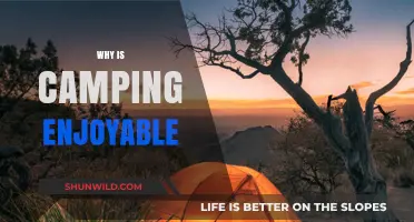 Embracing Nature: The Joy and Serenity of Camping