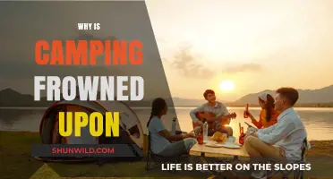 Unpopular Outdoors: Exploring the Reasons Behind Camping's Bad Rap