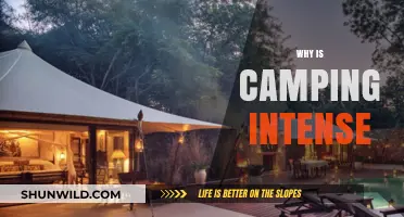 Unleashing the Wild: The Intense Thrill of Camping Adventures