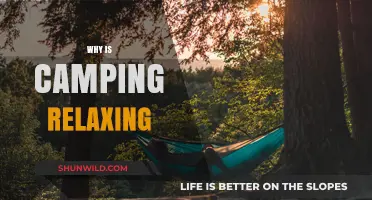 Unwind in Nature: The Serenity of Camping Explained