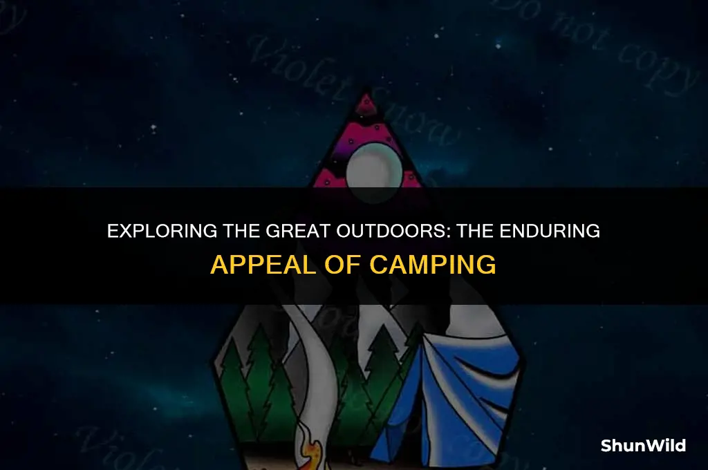 why is camping so popular
