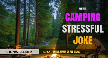 Unpacking the Paradox: Why Camping Can Be Surprisingly Stressful