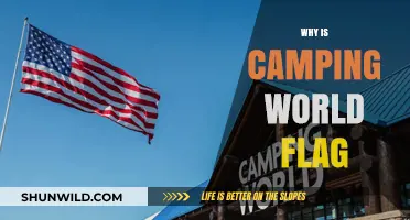 Unfurling the Mystery: Why Camping World's Flag Matters