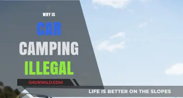 Exploring the Reasons Behind the Prohibition of Car Camping
