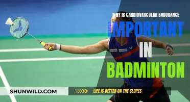 Badminton: Cardiovascular Endurance for Long-Lasting Performance