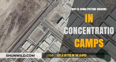 China's Uighur Detention Camps: Human Rights Crisis Explained