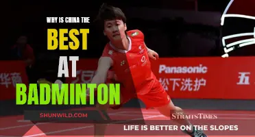 Badminton's Best: China's Dominance Explained