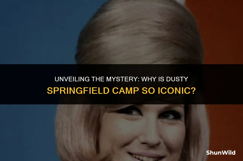 why is dusty springfield camp