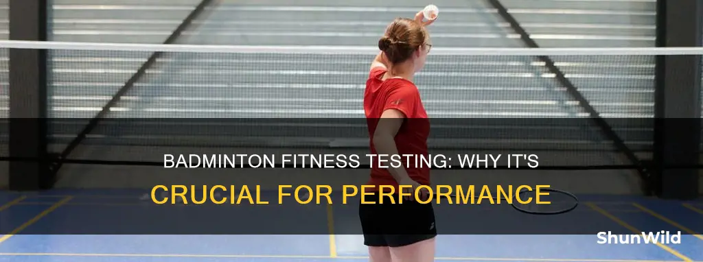 why is fitness testing important for a badminton player