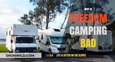 The Hidden Costs of Freedom Camping: Environmental Impact and Beyond