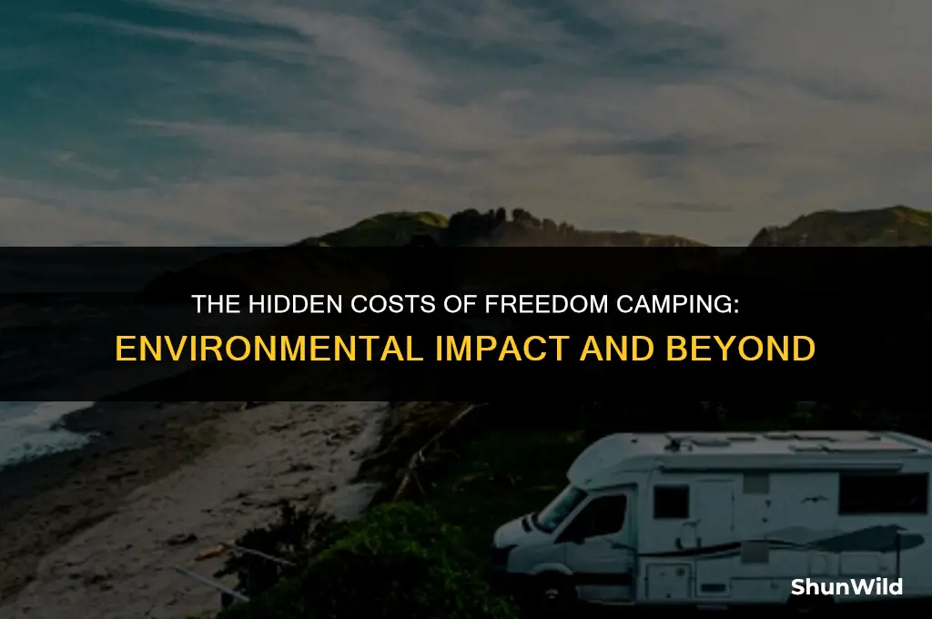 why is freedom camping bad
