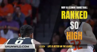 Illinois Basketball: Highly Ranked, But Why?