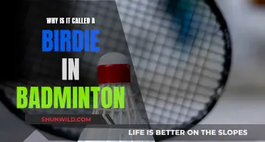 Birdie in Badminton: Origin and History