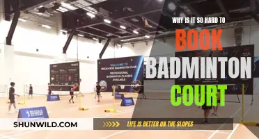 Badminton Court Booking: High Demand, Limited Supply