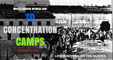 Jehovah's Witnesses in Concentration Camps: A History of Persecution