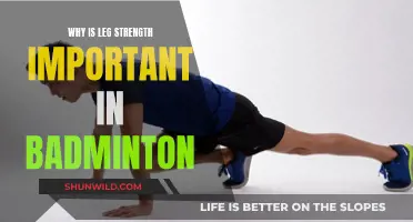 Leg Strength: The Powerhouse of Badminton Performance