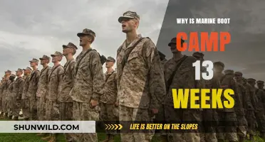 Marine Boot Camp: Unraveling the 13-Week Transformation Journey