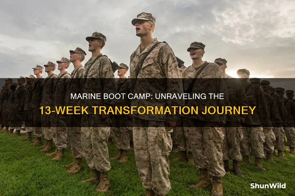why is marine boot camp 13 weeks