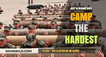 Marine Boot Camp: Unraveling the Brutal Challenges Behind Its Notorious Reputation