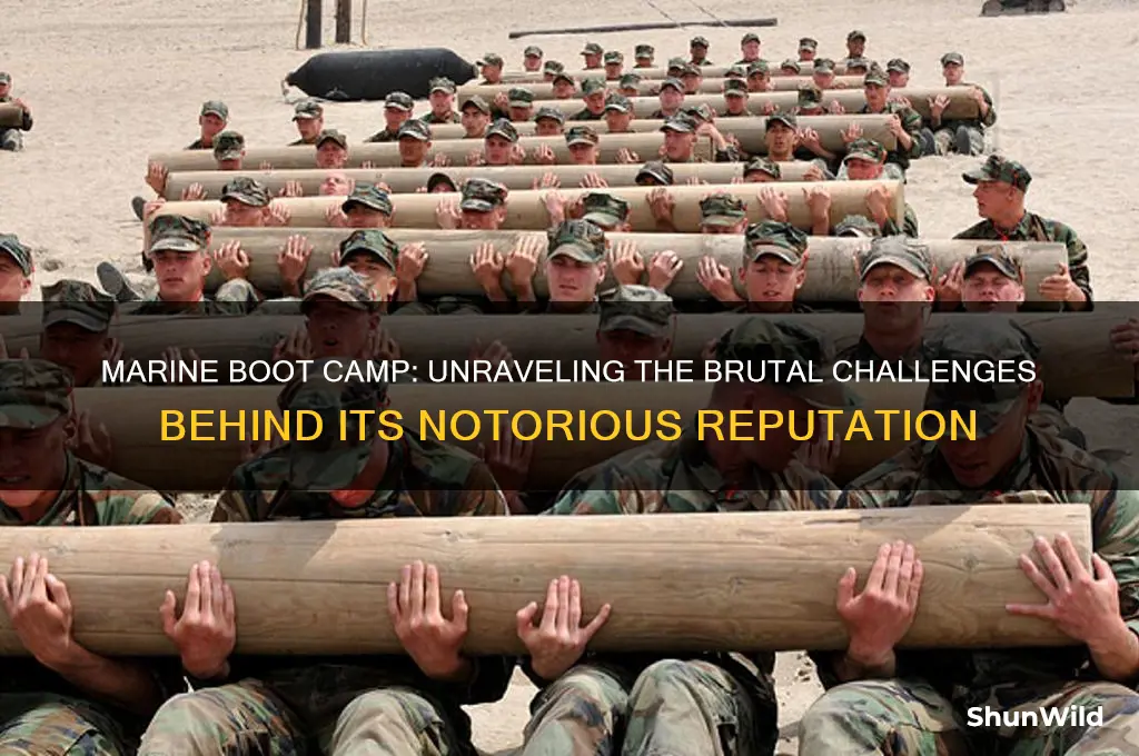 why is marine boot camp the hardest