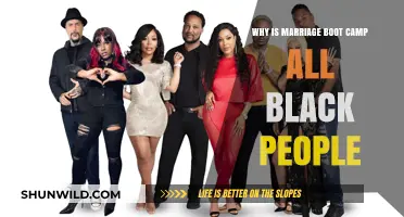 Marriage Boot Camp Diversity: Exploring the All-Black Cast Phenomenon