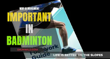 Footwork Fundamentals for Badminton Success